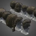 Men's Diverse Hairstyle Designs Featuring Different Haircuts And Styles On Male Head Models