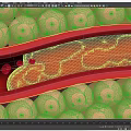 Game Movie Sci Fi Character Detailed Internal Structure With Red Blood Cells And Blood Vessels