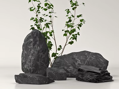 Natural Black Stone Arrangement With Various Sizes Rocks Slate Pieces And Green Leafy Plants 3d model