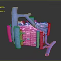 modern eukaryotic cell cross section cell structure cell tissue 3d model