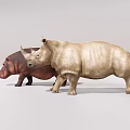 Realistic Hippopotamus And Rhinoceros Figurines Standing Side By Side On White