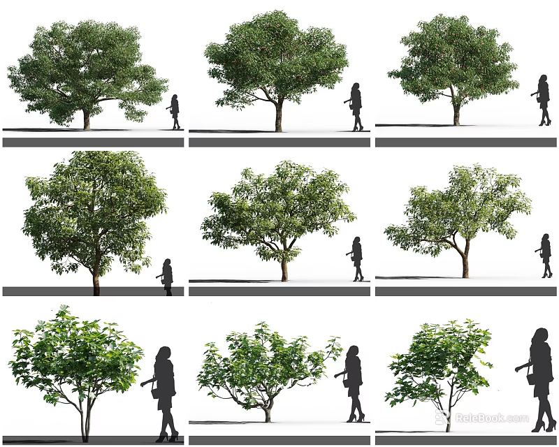 Various Arbor Varieties With Diverse Forms And Different Sizes And Human Scale Figures 3d model