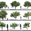 Various Arbor Varieties With Diverse Forms And Different Sizes And Human Scale Figures 3d model