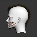 White Human Head Model With Brown Short Hair And Visible Facial Organs 3d model