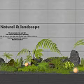 Natural Indoor Landscape Design With Green Plants Ferns Stones And Lighting