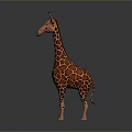 Cartoon Style Giraffe Game Movie Character 3D Model With Spotted Pattern Long Neck Standing Pose