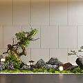 Natural Indoor Landscape With Rockery Green Plants Stones Moss And Small Lanterns