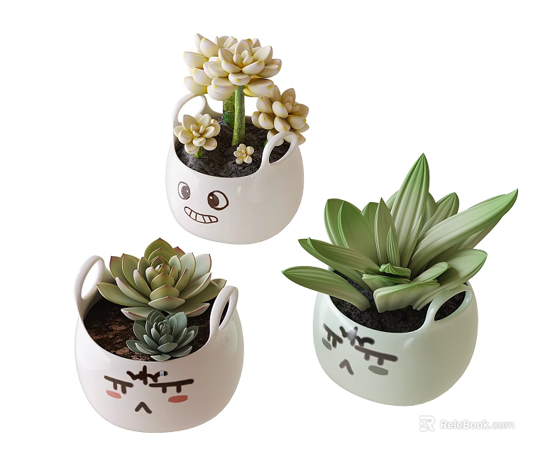 Cute Bonsai Succulent Pots with Cartoon Faces in White and Light Green Round Design 3d model 
