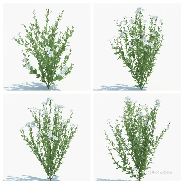 Green Plants With White Flowers Displayed In Various Angles And Natural Foliage Details 3d model 