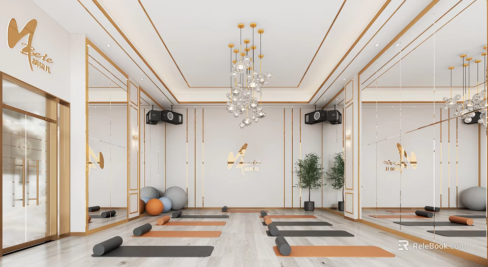 Modern Fitness Studio Interior With Yoga Mats Fitness Balls Mirrors Speakers Chandelier And Green Plants 3d model 