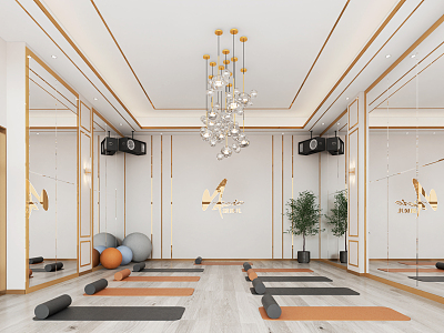 Light Luxury Yoga Room model