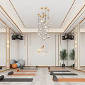 Modern Fitness Studio Interior With Yoga Mats Fitness Balls Mirrors Speakers Chandelier And Green Plants