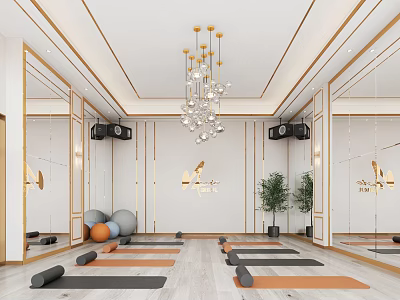 Modern Fitness Studio Interior With Yoga Mats Fitness Balls Mirrors Speakers Chandelier And Green Plants 3d model