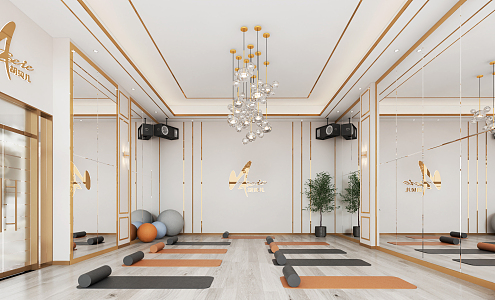 Light Luxury Yoga Room 3d model