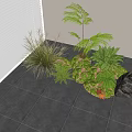 Indoor Decorative Plant Combination With Ferns Grasses Rocks And Moss