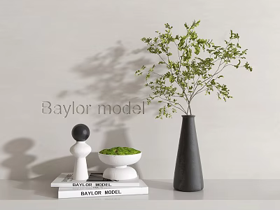 Modern Decorative Ornament Set With Geometric Figurine Vase Green Plant And Moss Bowl On Books 3d model
