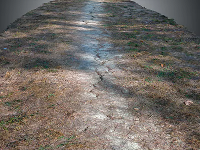 Natural Dirt Path With Fallen Leaves And Sunlight Shadows Through Trees 3d model