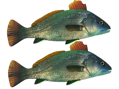 Two Vibrant Green And Orange Fish With Shiny Body Scales Bright Fins And Tails 3d model
