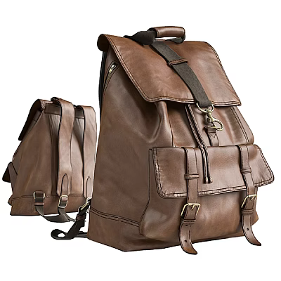 Brown Leather Backpack Showcasing Dual Angles View With Classic Design Details 3d model