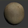 Fresh Ripe Juicy Honeydew Melon With Smooth Textured Greenish Brown Skin On Dark Background