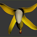 Peeled Banana With Yellow Peel And Silver Flesh On Black Background With Reflection