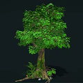 Cartoon Scene Of Lush Green Tree With Thick Trunk Small Plants And Stones At Roots