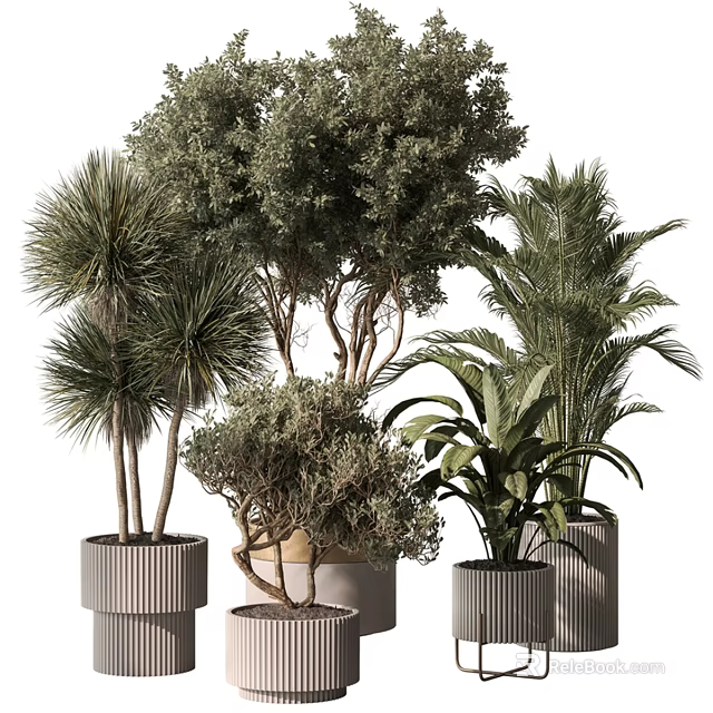 Modern Decorative Ornament Set with Various Potted Plants and Stylish Planters 3d model 