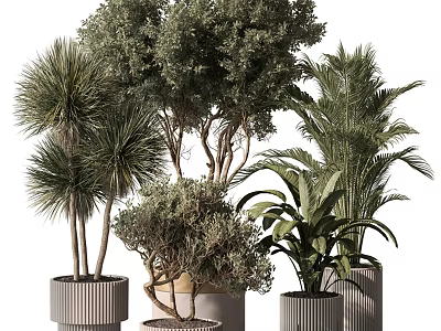 Modern Decorative Ornament Set with Various Potted Plants and Stylish Planters 3d model