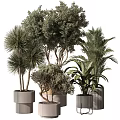 Modern Decorative Ornament Set with Various Potted Plants and Stylish Planters