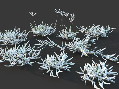 White Leafy Plants in Clusters on Dark Background with Natural Texture 3d model