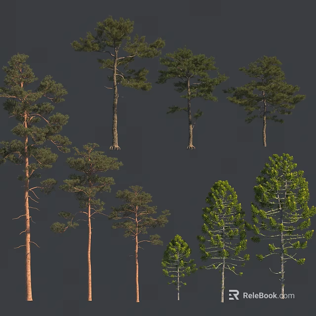 Various Arbor Trees With Different Heights And Crown Shapes For Landscape Design Projects 3d model