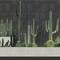 Multiple Bonsai Potted Cactus Plants In Gray Planter With Dark Wall Background And Wooden Floor