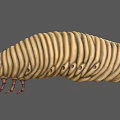 3D Rendered Caterpillar With Yellow Striped Body Red Head And Visible Legs