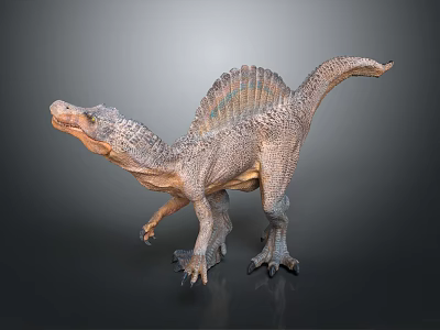 Detailed Gray Sail Backed Dinosaur Model in Standing Pose With Textured Skin 3d model