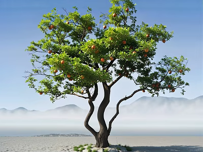 Arbor with Green Leaves and Orange Fruits Against Blue Sky Misty Mountains Sandy Ground 3d model