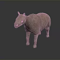 Realistic Tapir Sculpture With Brown Textured Body On Dark Reflective Surface
