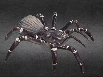 Detailed Dark Purple Spider Figurine With White Ringed Legs And Textured Body 3d model