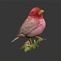 Vibrant Pink Bird Perched On Branch With Green Leaves And Dark Background