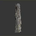 Detailed Tree Trunk With Natural Bark Texture On Dark Background 3d model