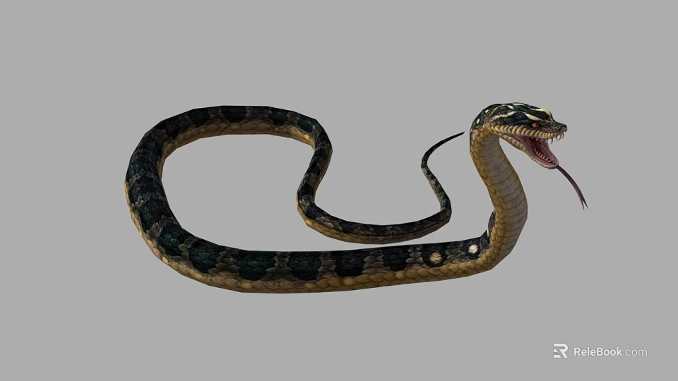 Reptile Snake With Coiled Body Patterned Skin Open Mouth And Flicking Tongue 3d model 
