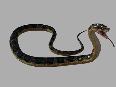 The Modern Snake 3d model