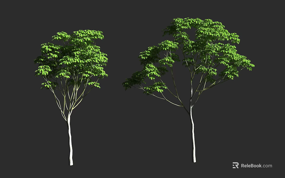 Tall Arbor Trees With Lush Green Foliage And Sturdy Trunks In Landscape 3d model 