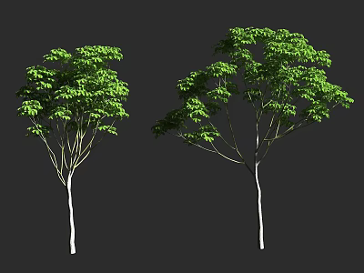 Tall Arbor Trees With Lush Green Foliage And Sturdy Trunks In Landscape 3d model