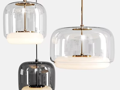 Modern Glass Pendant Lights With Clear And Dark Shades Metal Frames And White Lamps 3d model
