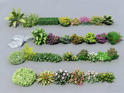 Various Colorful Garden Flowers And Green Plants With Diverse Leaf Shapes 3d model