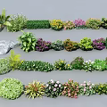 Various Colorful Garden Flowers And Green Plants With Diverse Leaf Shapes