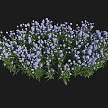 Garden Landscape With Lush Purple Flowers And Green Foliage Design