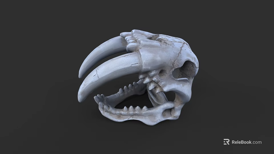 Detailed Animal Skull With Sharp Teeth And Cracked White Bone Texture 3d model