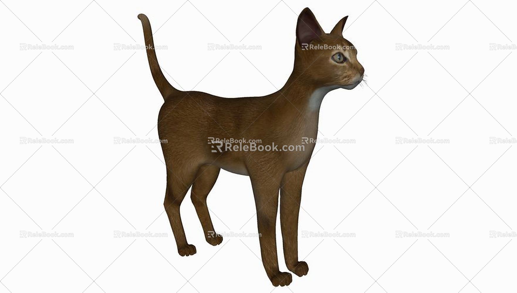 Modern Cat Animal Cat 3d model