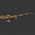 Yellow And Brown Spotted Fish With Long Tail And Slender Body
